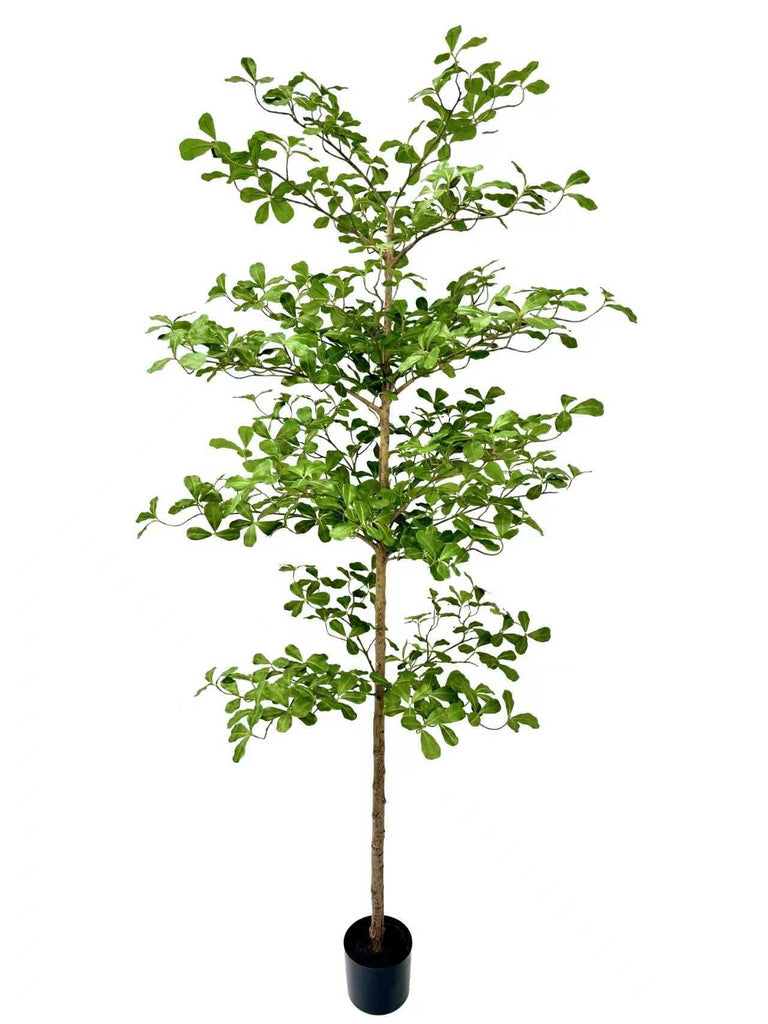 Artificial Black Olive Tree, 7FT Tall Big Faux Shady Lady Tree with Potted, Fake Olive Tree Decor Indoor