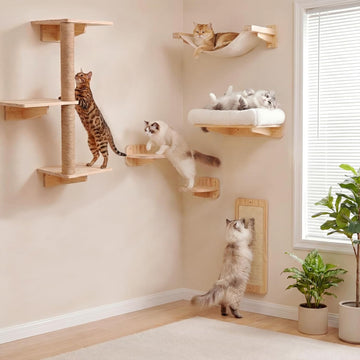 6-in-1 Cat Wall Shelves for Large Cats, Wall Mounted Climber with Hammock