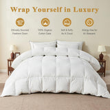Organic Feather Down Comforter Full, Luxury Extra-Fluffy Duvet Insert