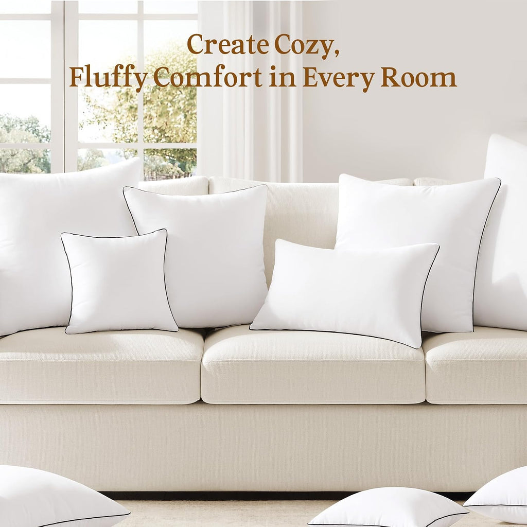 20x20 Pillow Inserts, Fluffy Overfilled Down Alternative Decorative Pillows, Soft Plush Throw Pillows - Set of 2