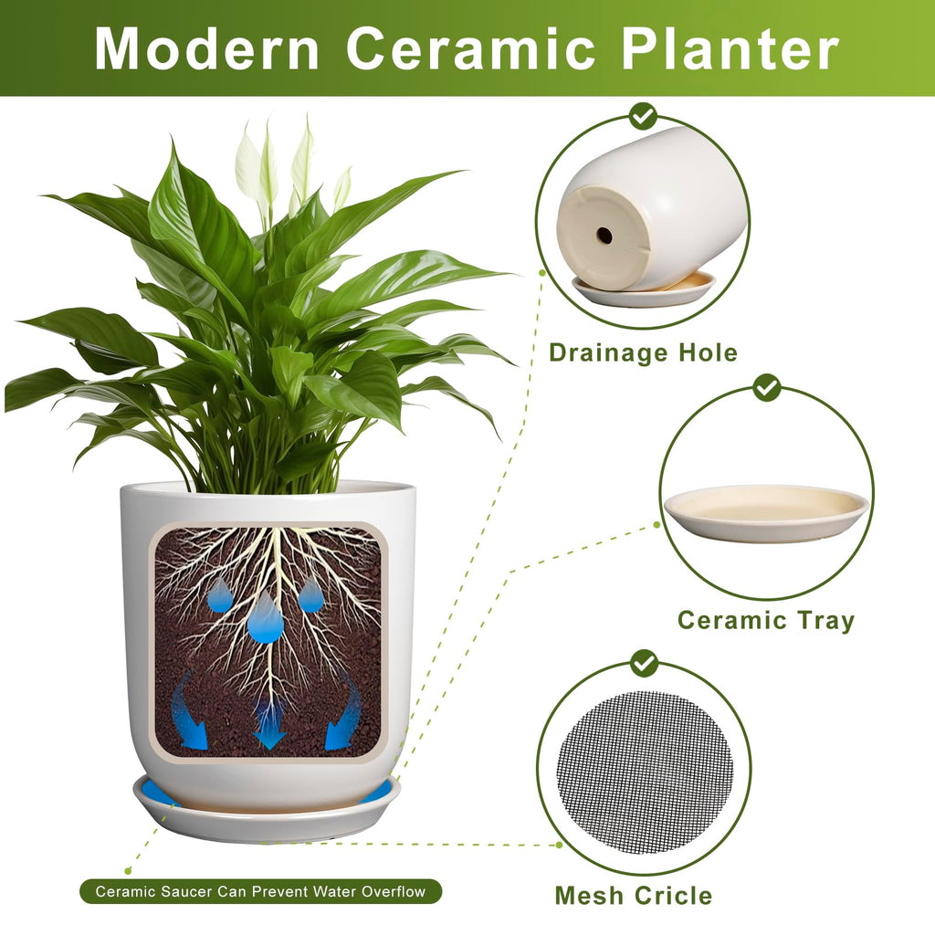 Plant Pot 8 Inch - Ceramic Planter for Indoor Plants Outdoor, Large Plant Pot with Drainage Hole and Saucer, Modern