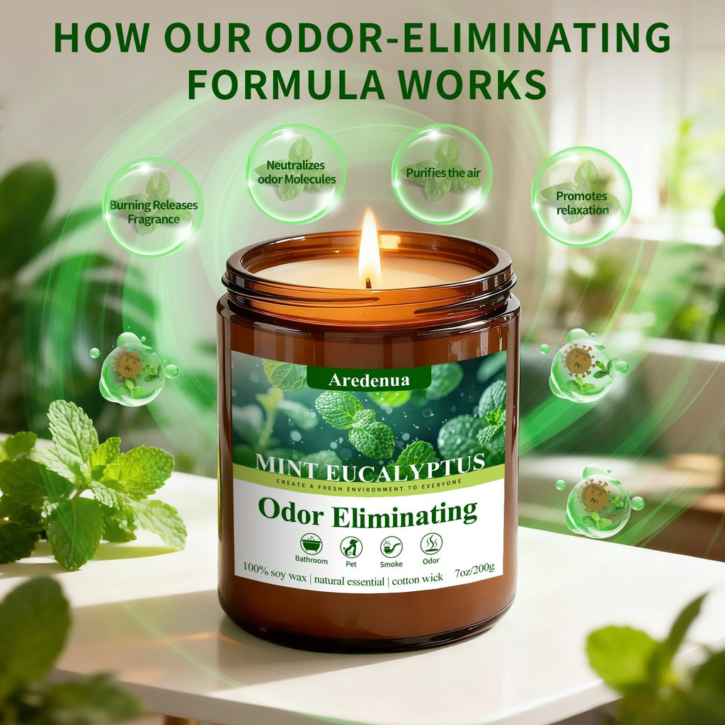 Mint Eucalyptus Odor Eliminating Candles, 7 oz Soy Scented Candle
