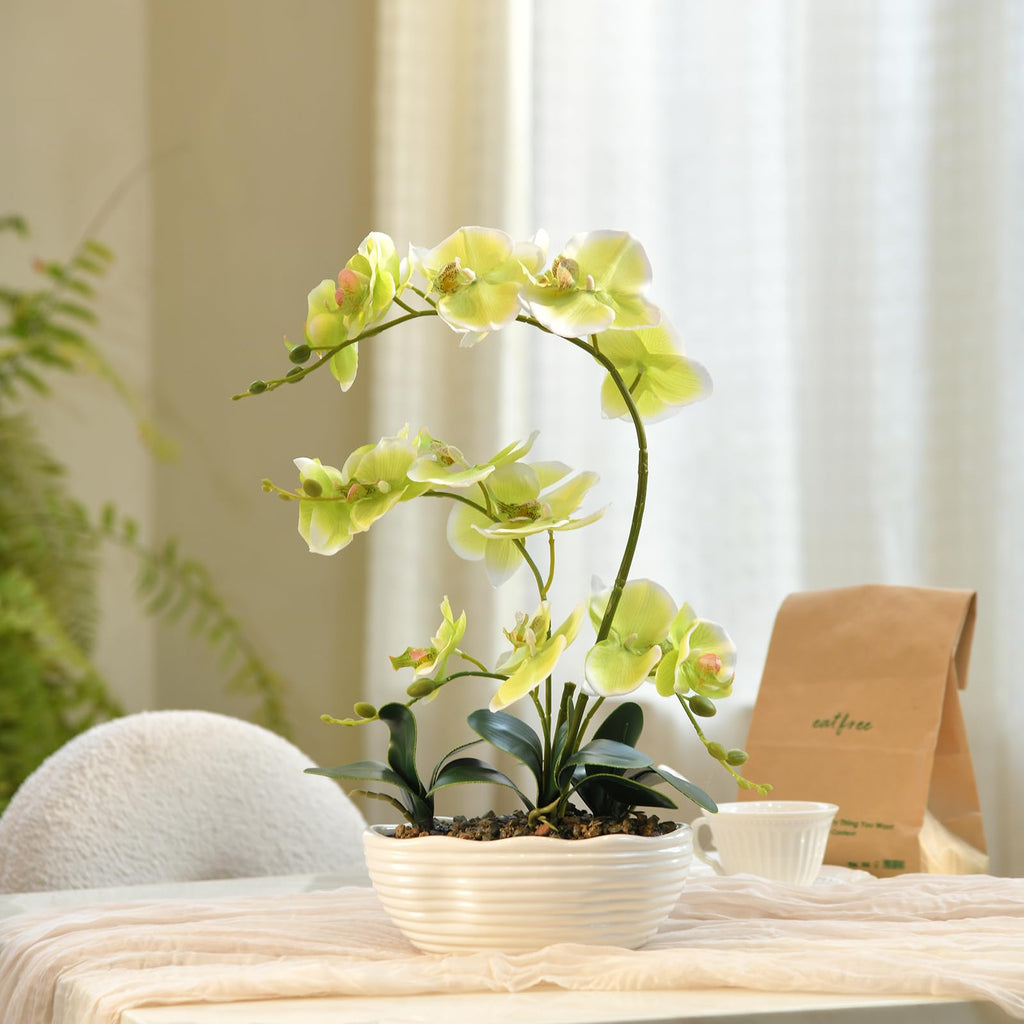 Large Silk Orchid in Wave Pot 19" Phalaenopsis Plant for Table, Apple Green