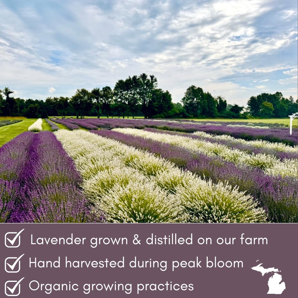 Organic Lavender Hydrosol by - Lavender Water & Floral Water Spray, Pure Hydrosol Facial Toner, Linen & Room Mist