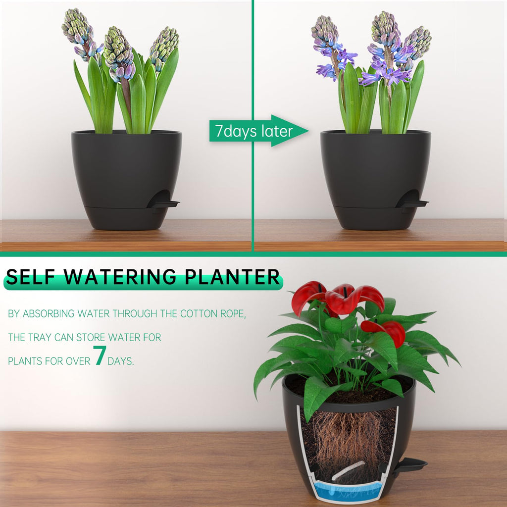 10 Inch Plant Pots Set of 2 Planters for Indoor Plants Self Watering Pots Flower Pots with Drainage Holes and Saucer