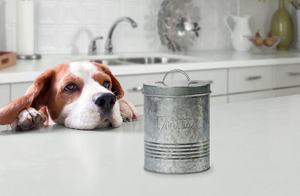 Pet, Retro Treats Galvanized Relief Lettering Metal Storage Canister, Food Safe, Push Top, 72 Ounces