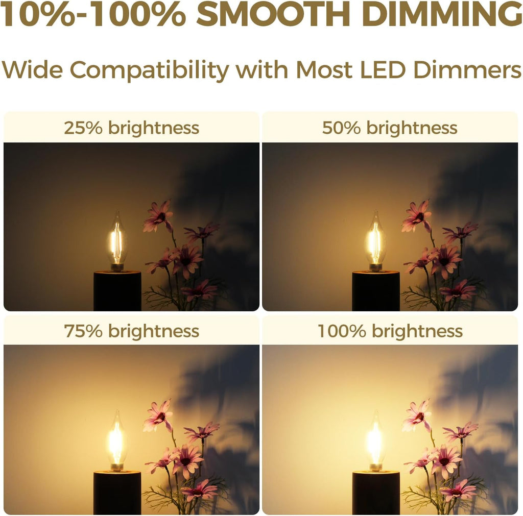 Candelabra Light Bulbs 60W Eq 2700K, Dimmable E12 Bulb, 24 Pack