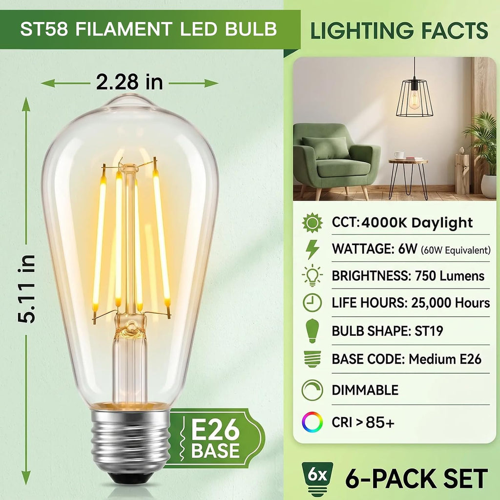 6Pack ST58/ST19 Vintage LED Edison Bulbs