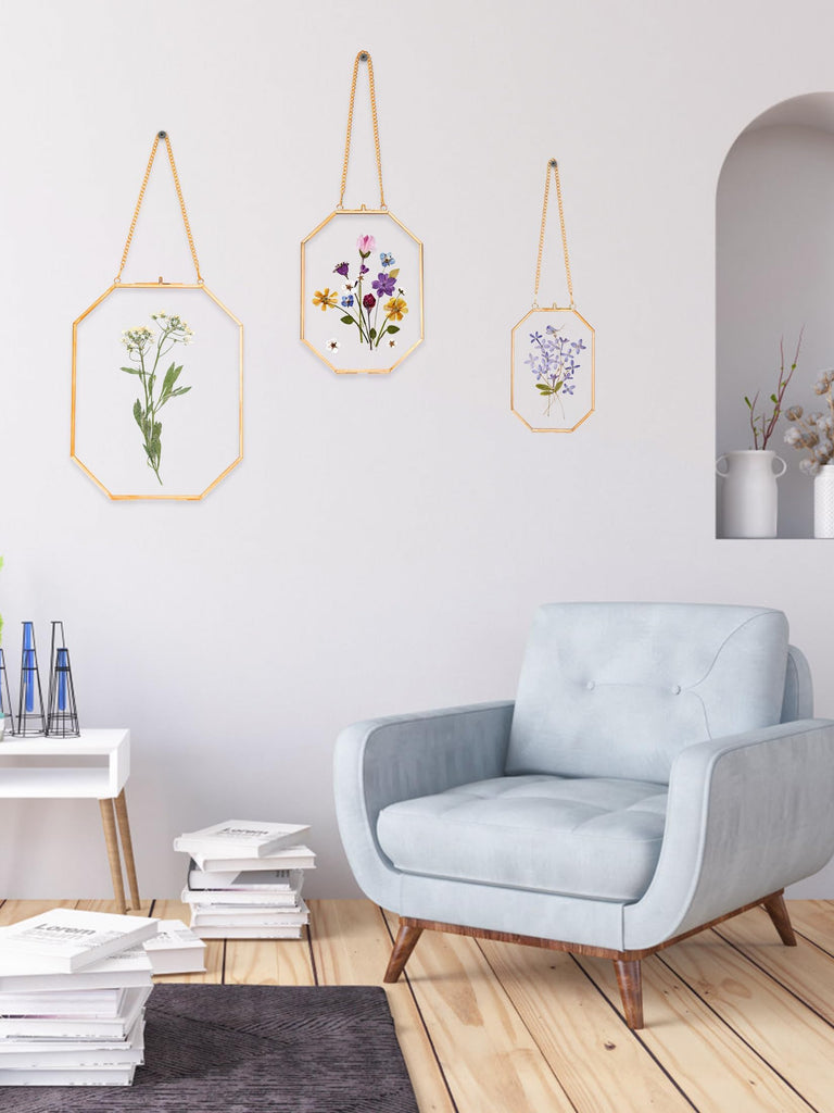 Pressed Flower Frames, Glass Floating Frames for Display Dried Plant Specimen Picture, Hanging Brass Photo Frame with