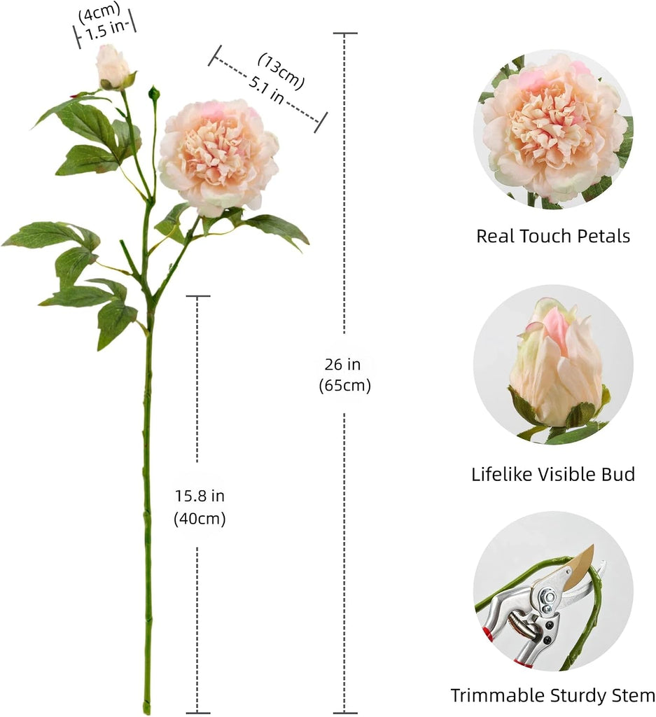 Real Touch Artificial Peonies,Champagne Pink Faux Silk Flowers - Set of 5