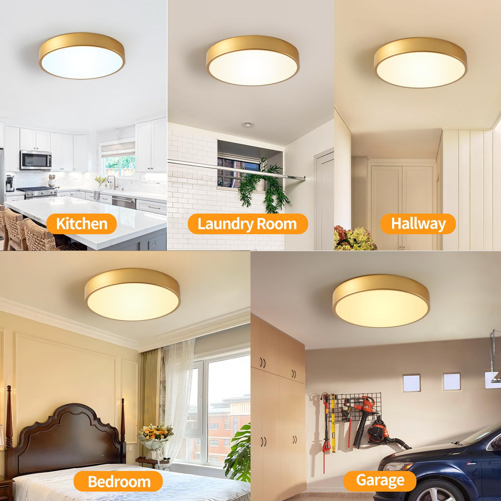 HLightnet Flush Mount Ceiling Light Gold LED Dimmable 5CCT 12 Inch 24W
