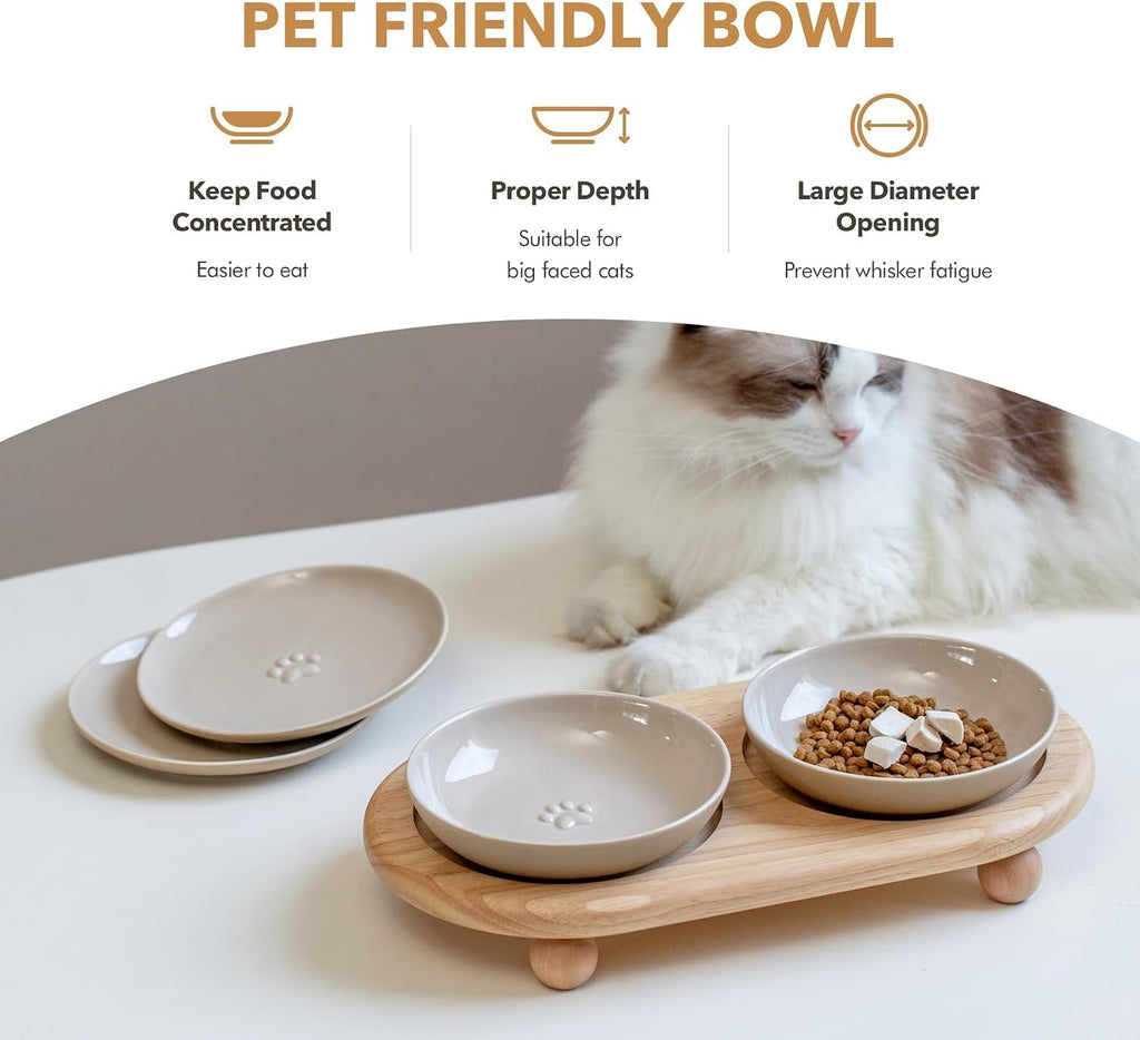 Elevated Cat Bowls, Cat Food and Water Bowl Set, Ceramic Cat Bowl