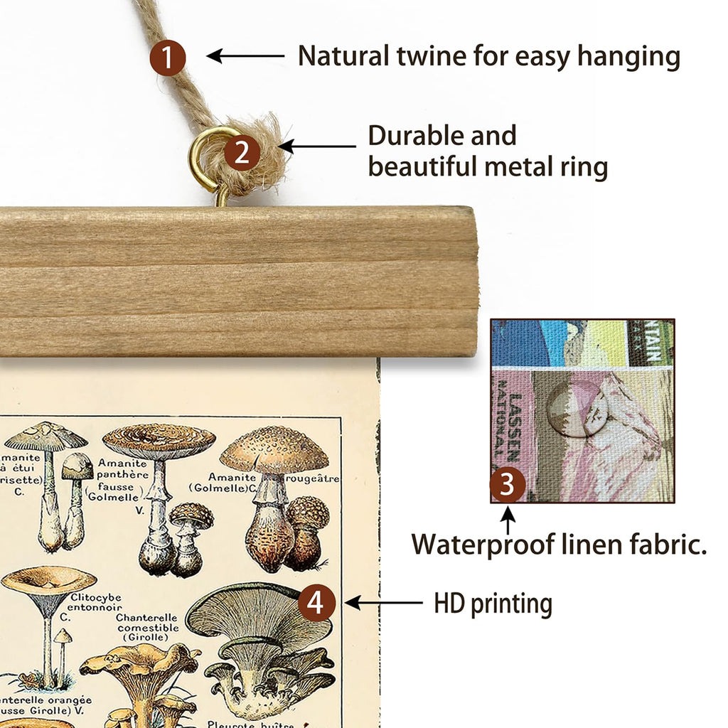 Vintage Mushroom Poster with Wooden Frame - Classic Botanical Print with Variety of Fungi Species - Retro Style Wall