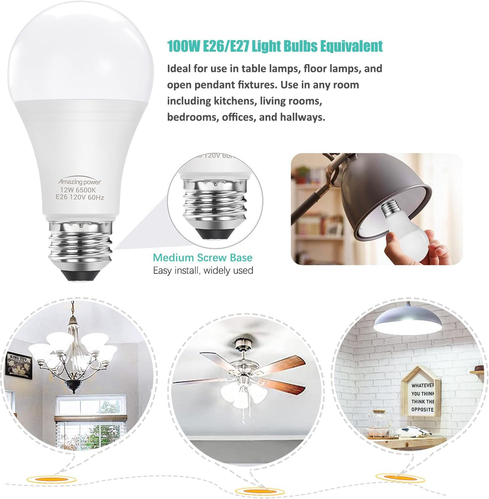 100W Equivalent E26 LED Bulbs, Daylight White 6500K