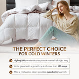 Goose Down Comforter Queen, All Season Duvet Insert, 100% Cotton Shell, 750+ Fill Power, 3D Baffle B
