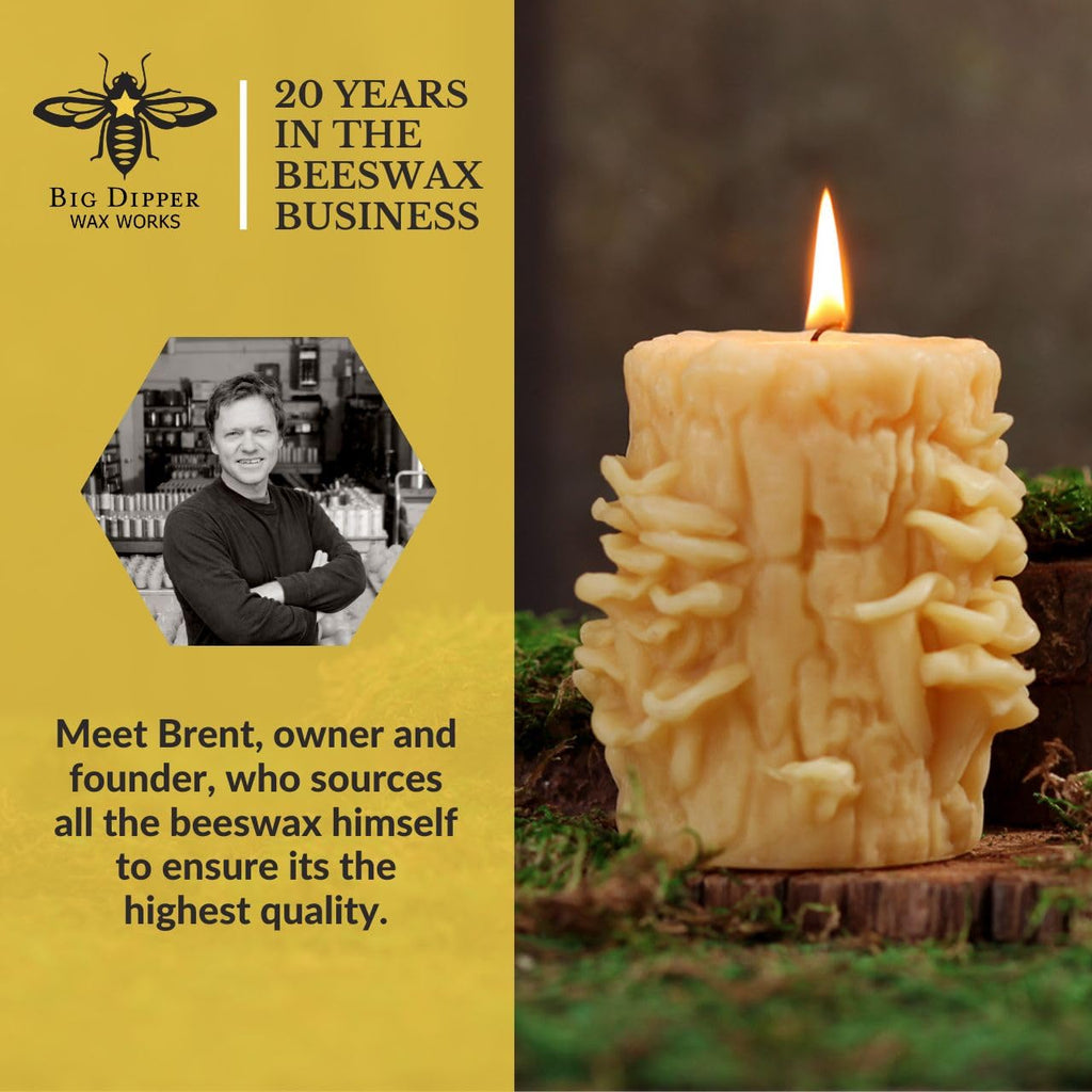 Beeswax Oyster Mushroom Candle, 4 x 3.25in