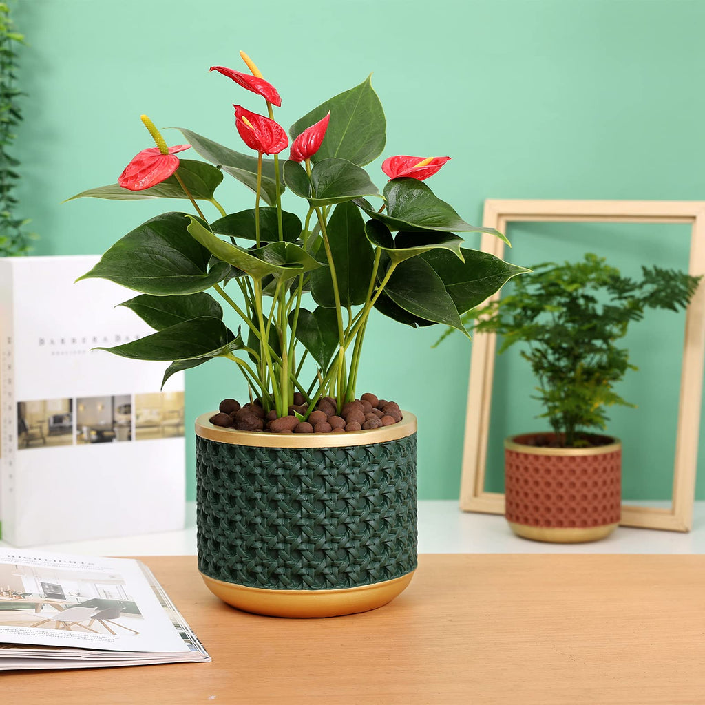 6&4.4 Inch Cement Planter Decorative Pots with Drainage Hole for All House Plants, Succulents, Flowers, and Cactus