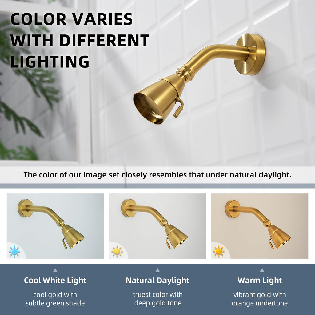 High Flow Shower Head Adjustable, G 1/2, Brushed Dark Gold