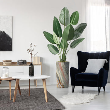 Artificial Tree in Modern Contemporary Planter, Fake Bird of Paradise Silk Tree for Indoor and Outdoor Home
