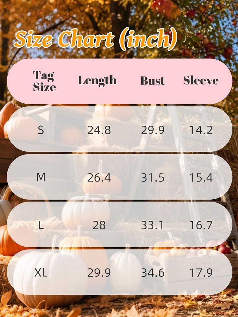 Turtleneck Knit Sweater Dress Lantern Balloon Sleeve Casual Loose Fall Winter Pullover Mini Dresses