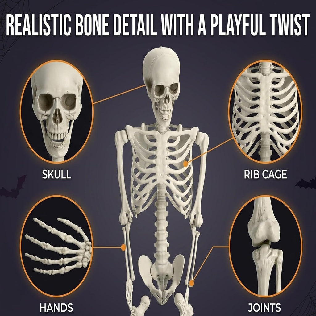 Life Size Skeleton, 5.4Ft/165cm Halloween Skeleton Poseable Skeleton Full Body Human Bones with Movable Joints