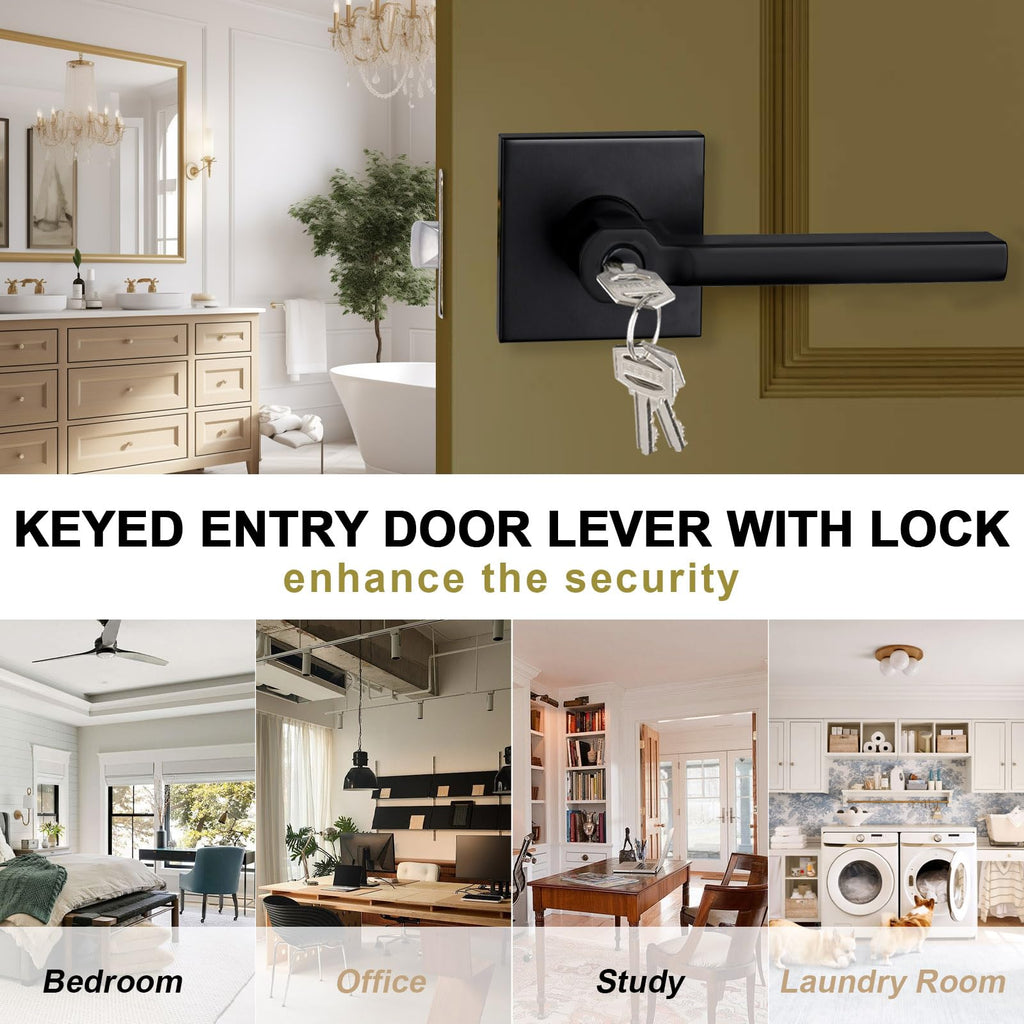 6 Packs Keyed Entry Door Lever with Lock, Heavy Duty, Different Keys