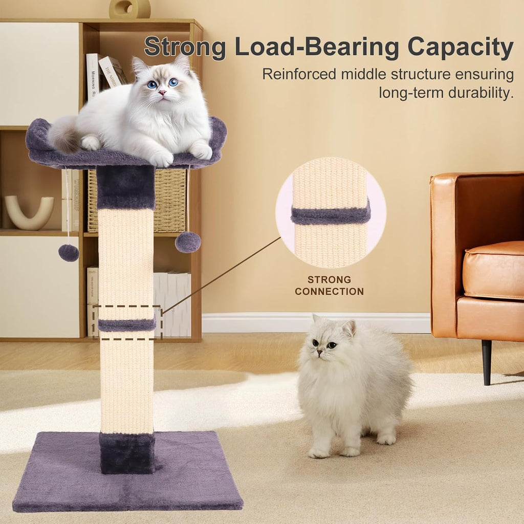Cat Scratching Post for Indoor Cats, Sisal Cat Scratcher with Large Plush Perch, Vertical Posts with Elevated Bed