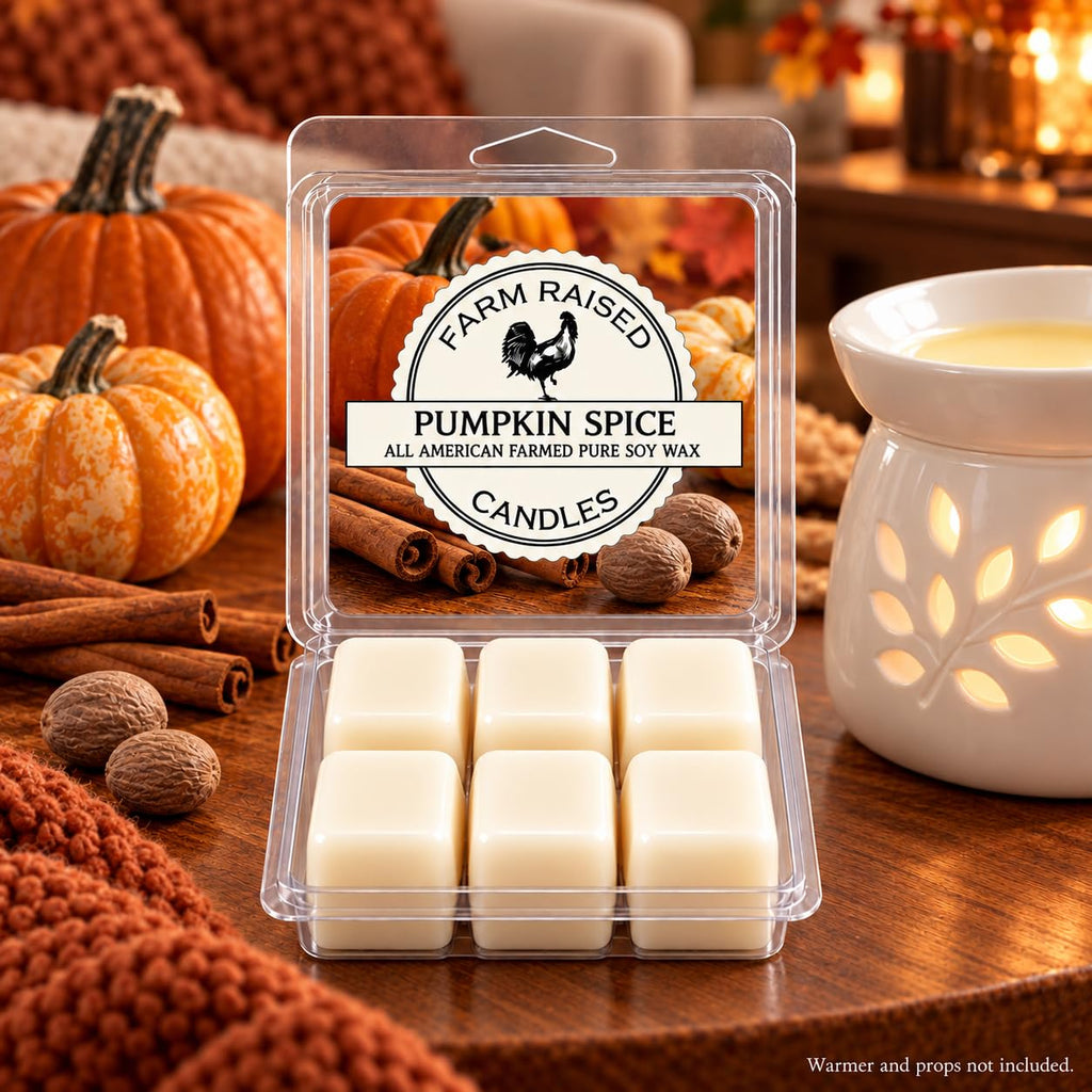 Fall Wax Melts Variety Pack, Pumpkin Spice, Apple Cider & Autumn Scents, Soy Wax Melts for Warmers, Hand Poured in