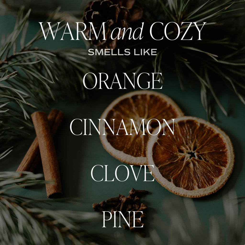 Warm and Cozy Reed Diffuser Set - Orange, Cinnamon, Clove, and Pine Fall and Winter Scented Diffuser - Scent