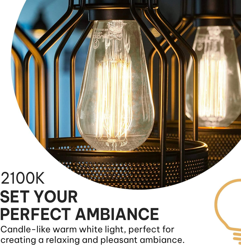 Vintage Edison Incandescent 60W 12-Pack Light Bulbs - Antique ST64 Dimmable 2100K Warm Decorative Squirrel Filament