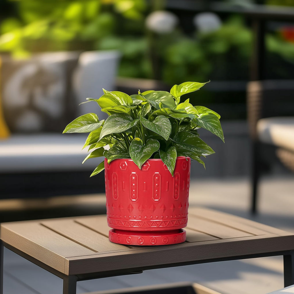 6 Inch Plant Pot, Ceramic Flower Pots for Indoor Outdoor Plants, Round Pots for Plants with Drainage Hole and Tray