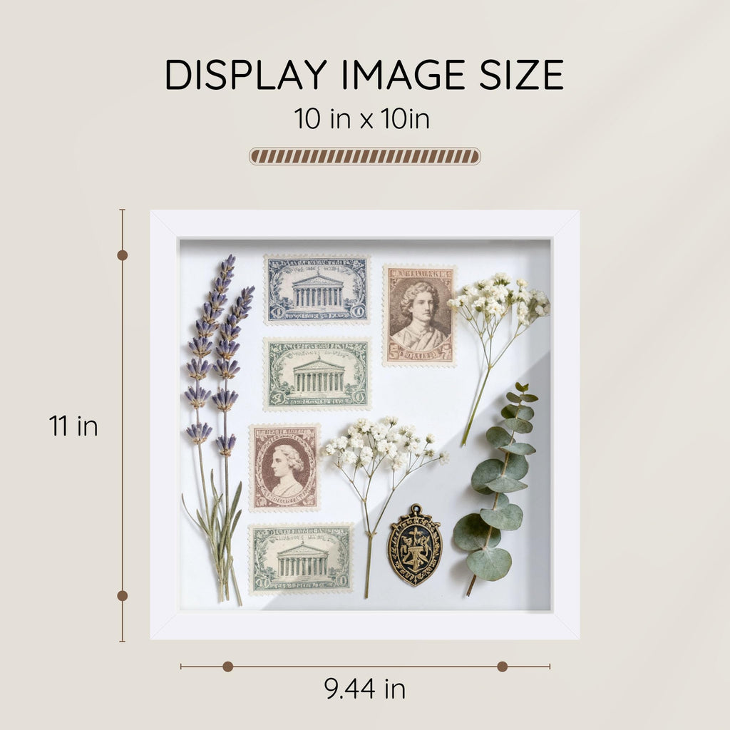 10x10 White Wooden Shadow Box Frame, Tempered Glass, 2 Pack