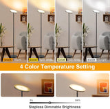 Floor Lamp, 30W/3000LM LED Modern Torchiere Sky Lamp