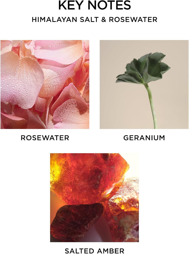 Reed Diffuser, Himalayan Salt & Rosewater - The Wellness Collection - 5.9 fl oz - Fragrance for Up to 90 Days - Set of 59