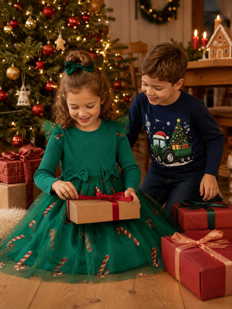Long Sleeve Tulle Party Dresses for Holiday Birthday Special Occasion