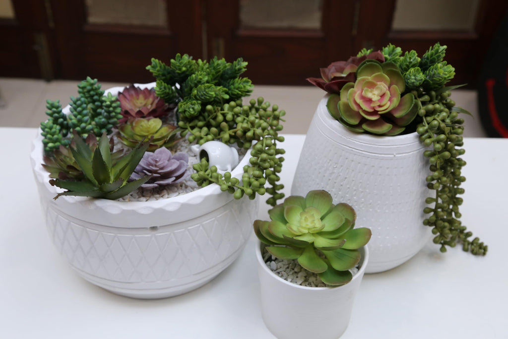 Artificial Succulents Plants Unpotted -14 Pack- Large Fake Succulent Plant Indoor Outdoors - Realistic Faux Cactus