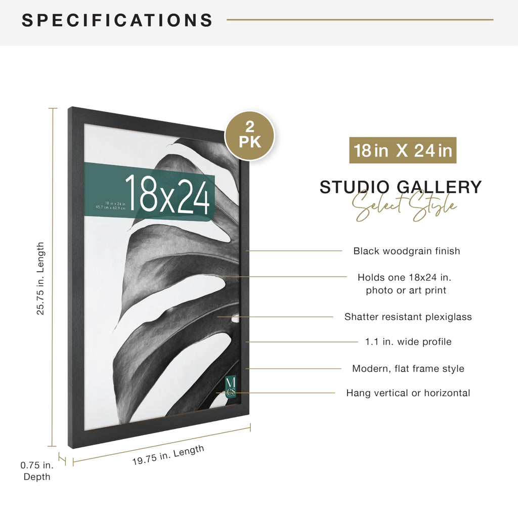 Studio Gallery Poster Frame, 18x24, Black Woodgrain, 2-Pack