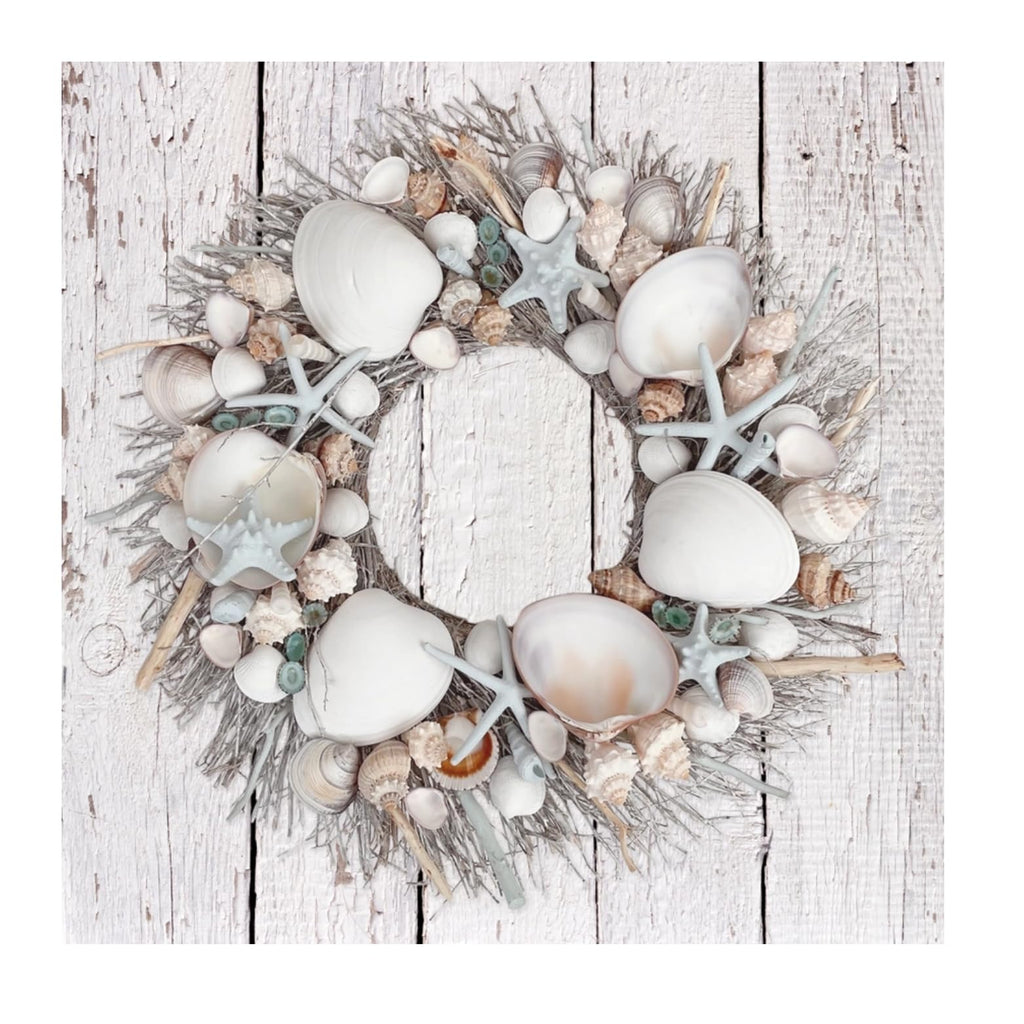 Coastal Spring & Summer Seashell 20" Wreath Natural Preserved (Blue)