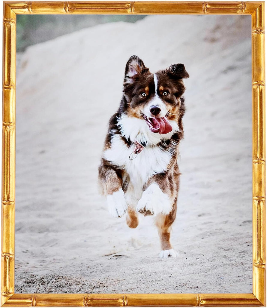 24x36 Inch Gold Picture Frame, This 0.7500 Inch Custom Poster Frame is Gold Bamboo - Comes with Acrylic and