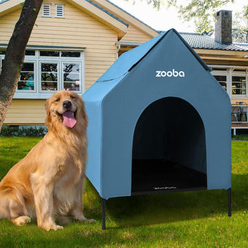 36in Large Dog House Outdoor, Elevated Dog Bed with Canopy, Blue