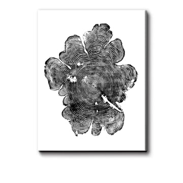Oregon Western Red Cedar, woodcut print, Woodcore art, tree ring print, natural wood slices, huge wall art, sacred