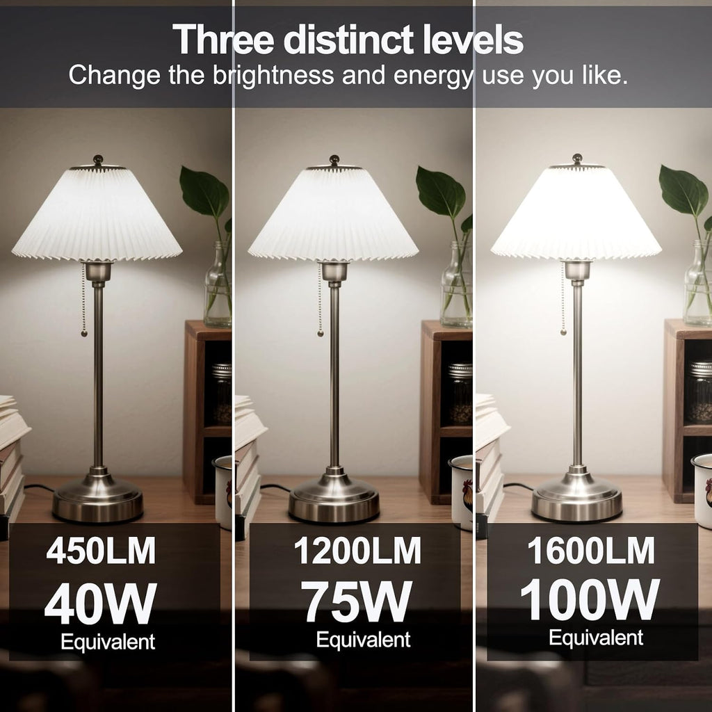 Energetic 3 Way LED Light Bulbs 2 Pack, A19 40 75 100W Daylight White 5000K