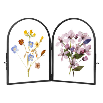 Double Glass Frame for Pressed Flowers Arc Black, 4×6 Inches
