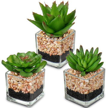 Mini Fake Plants 3 Packs Cute Succulents Artificial Plants in Square Glass Vase Pot Potted Faux Succuletns Dining