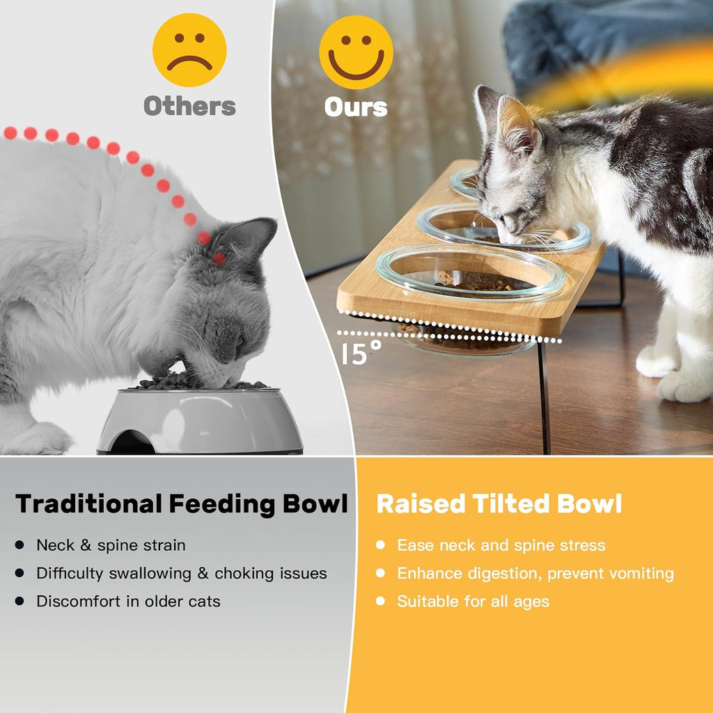 Elevated Cat Bowls, 15° Tilted Cat Food Bowl