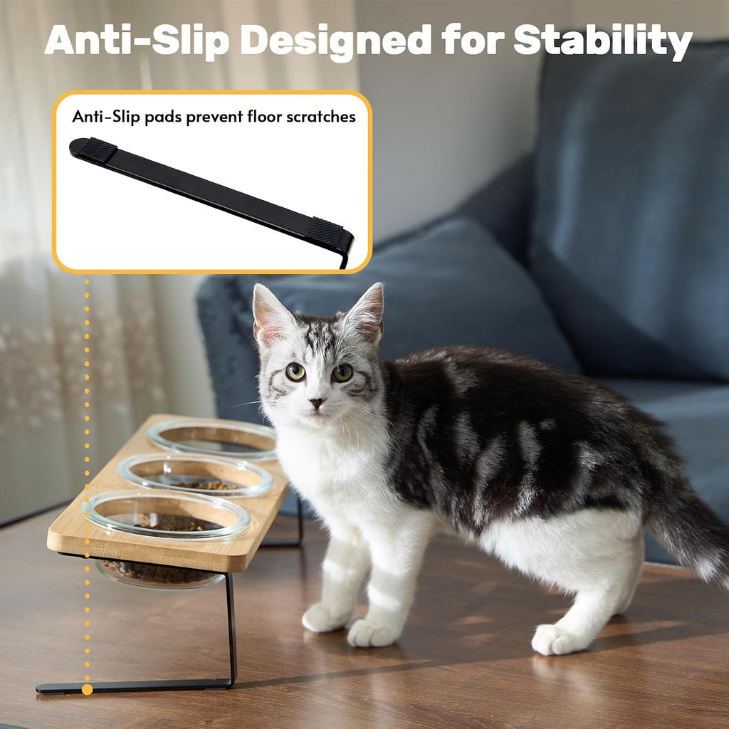 Elevated Cat Bowls, 15° Tilted Cat Food Bowl