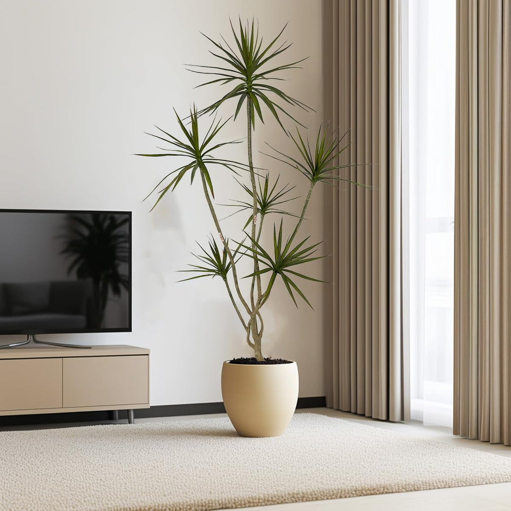 Artificial Dracaena marginata Plant 6ft Tall Indoor Tree。
