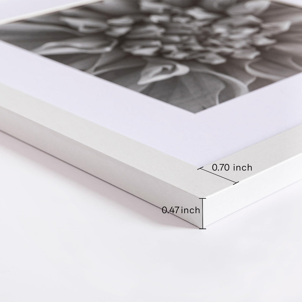 Picture Frames Set of 9, 12x12 in, Acrylic Cover, White