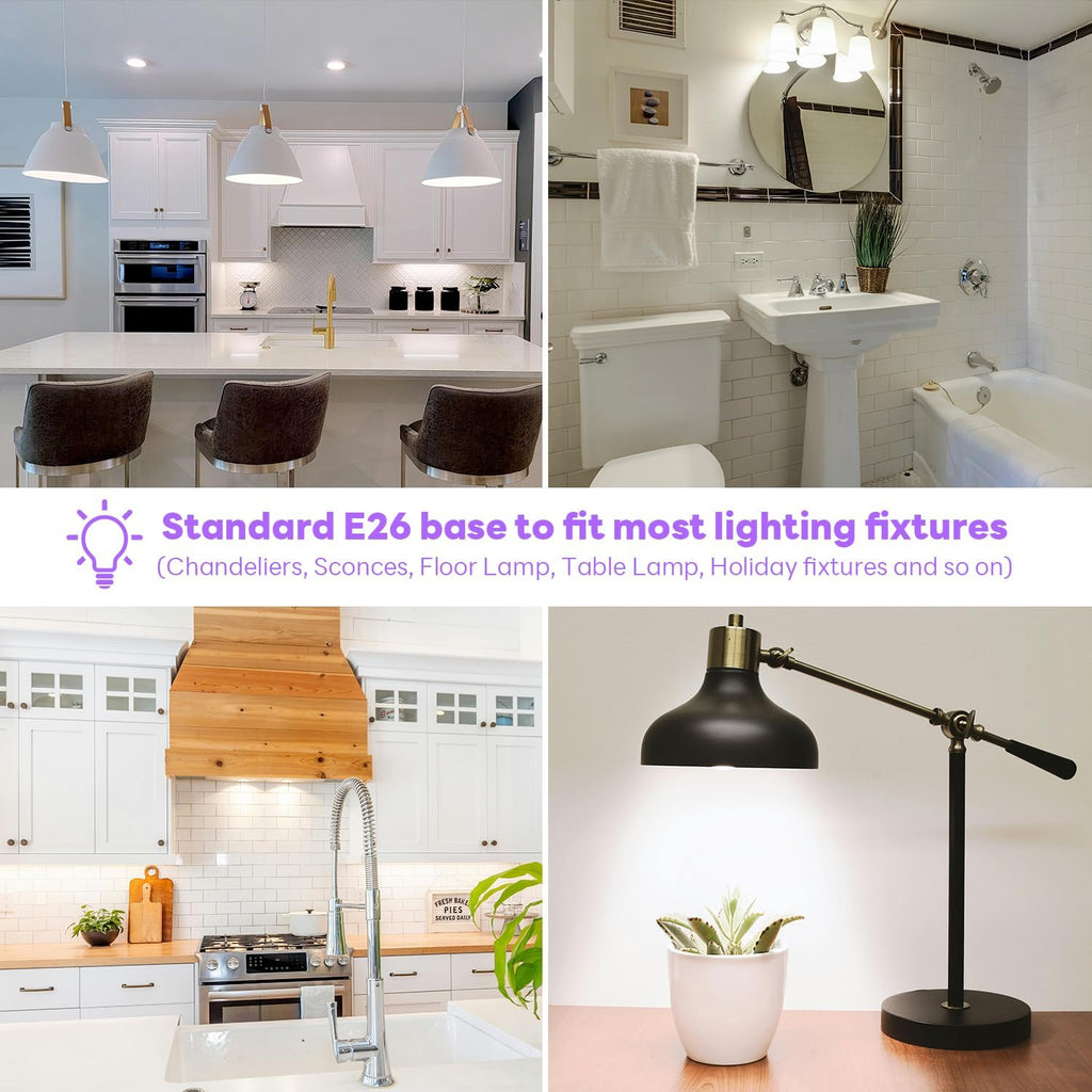 LED Light Bulbs 100 Watt Equivalent, A19 Daylight 6500K 12W 10 Packs