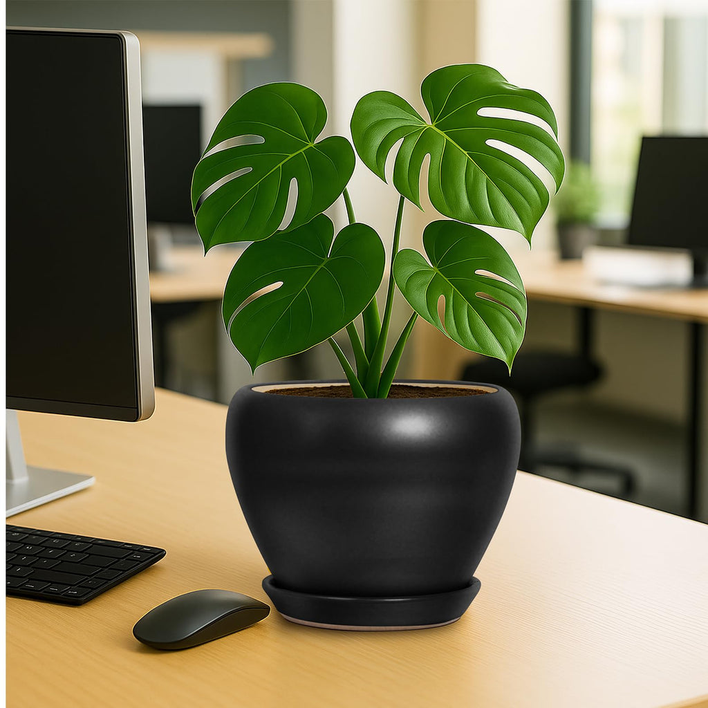 8 Inch Plant Pot - Ceramic Pots for Plants with Drainage Hole and Trays, Modern Round Flower Pot, Planters for Indoor